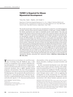TGFBR1 Is Required for Mouse Myometrial Development