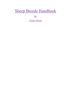 Sheep Breeds Handbook