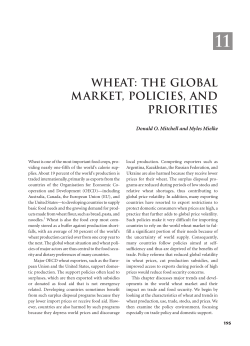 The Global Market, Policies, and Priorities