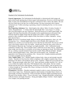 Standard of the Nederlandse Kooikerhondje General Appearance