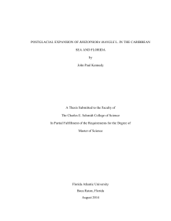 POSTGLACIAL EXPANSION OF RHIZOPHORA MANGLE L. IN THE CARIBBEAN SEA