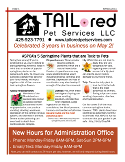 2014 TAILored Pet Services Spring Newsletter