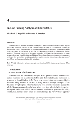 In-Line Probing Analysis of Riboswitches