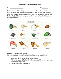 Bird Beak Experiment Lab Sheet