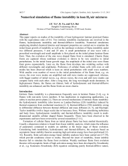 Numerical simulation of flame instability in lean H2/air mixtures