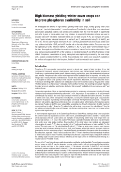 High biomass yielding winter cover crops can improve phosphorus