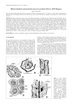 Biform tabularia and periaxial cones in Lonsdaleia McCoy, 1849
