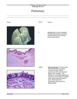 Pathology Review