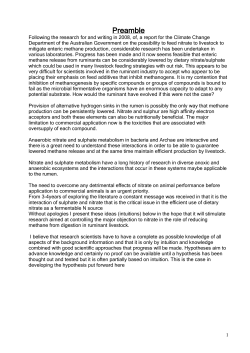 A theoretical analysis of nitrate poisoning in ruminants