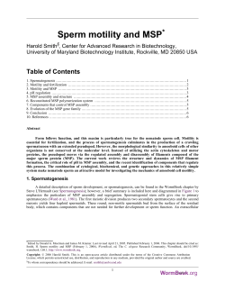 Sperm motility and MSP