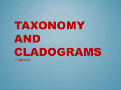 Taxonomy and Cladograms - Staff Portal Camas School District