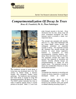 Compartmentalization Of Decay In Trees