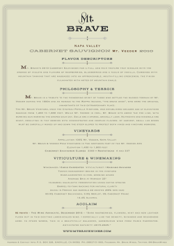 2010 Mt. Brave Cabernet Sauvignon WIS