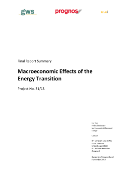 Macroeconomic Effects of the Energy Transition