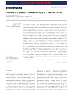 Functional Significance of Hormonal Changes in Mammalian Fathers