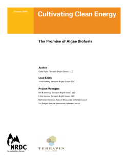 NRDC: Cultivating Clean Energy - The Promise of Algae Biofuels