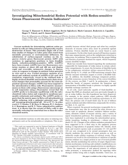 Investigating Mitochondrial Redox Potential with