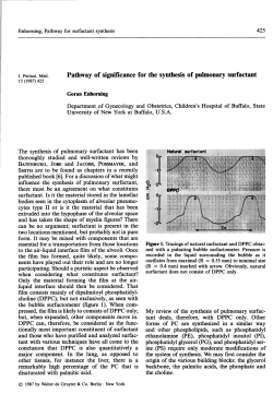 Pathway of significance for the synthesis of pulmonary surfactant