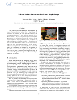 Mirror Surface Reconstruction from a Single Image