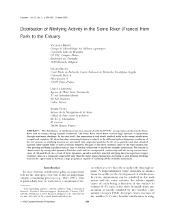 Distribution of Nitrifying Activity in the Seine River (France) from