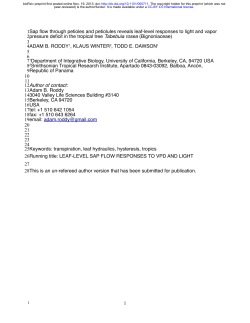 Sap flow through petioles and petiolules reveals leaf-level