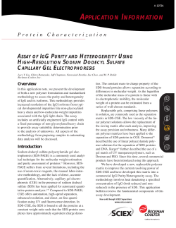 ASSAY OF IGG PURITY AND HETEROGENEITY USING