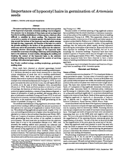 Importance of hypocotyl hairs in germination of Artemisia seeds