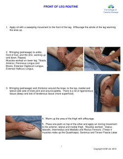 Front of Leg With Pictures - The College of Classical Massage