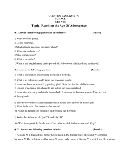 Topic: Reaching the Age Of Adolescence