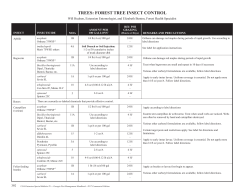 Forestry and Christmas Trees - UGA CAES