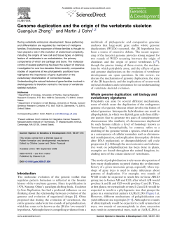 Genome duplication and the origin of the vertebrate skeleton