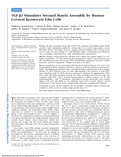 TGF-&beta;3 Stimulates Stromal Matrix Assembly by Human