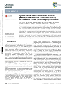 Synthetically tuneable biomimetic artificial