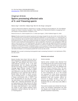 Sperm processing affected ratio of X-and Y