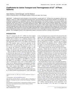 Coefficients for Active Transport and Thermogenesis of Ca2