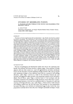 STUDIES OF MEMBRANE FUSION.