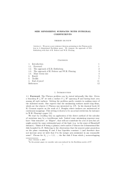 SIZE MINIMIZING SURFACES WITH INTEGRAL COEFFICIENTS