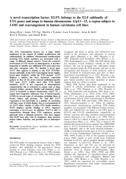 A novel transcription factor, ELF5, belongs to the ELF