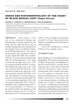 GROSS AND HISTOMORPHOLOGY OF THE OVARY OF BLACK