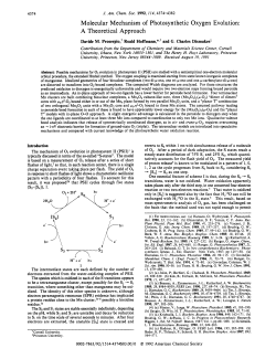 Molecular Mechanism of Photosynthetic Oxygen