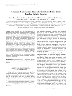The Molecular Basis of How Forces Regulate Cellular Function