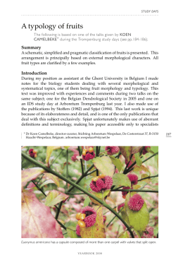 A typology of fruits - International Dendrology Society