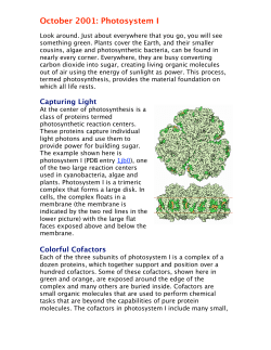 October 2001: Photosystem I