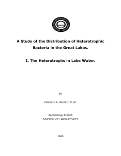 A Study of the Distribution of Heterotrophic Bacteria in the Great Lakes