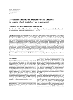 Molecular anatomy of interendothelial junctions in human blood