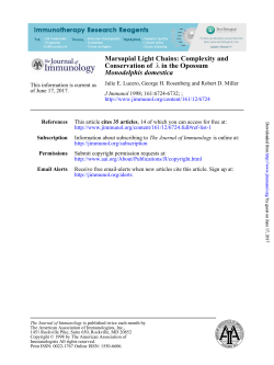 Monodelphis domestica in the Opossum &lambda; Conservation of