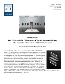 Seven Doors: Jan Tichy and the Chiaroscuro of Art Museum Collecting