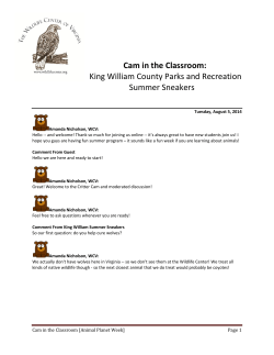 King William County Summer Sneakers