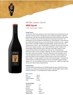 NK`Mip Qwam Qwmt 2008 Syrah