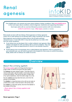 Renal agenesis